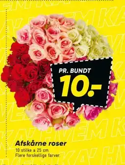 Bilka Afskårne roser, DKK 10 tilbud