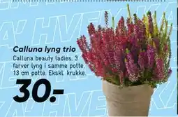 Bilka Calluna lyng trio, DKK 30 tilbud