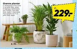 Bilka Grønne planter, DKK 229 tilbud