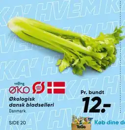Bilka Økologisk dansk bladselleri, DKK 12 tilbud