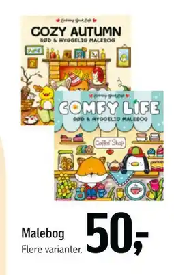 Føtex Malebog, DKK 50 tilbud