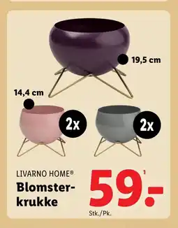 Lidl LIVARNO HOMEⓇ Blomster- krukke tilbud