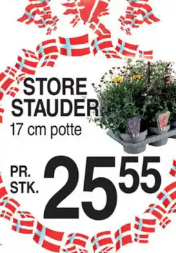 ABC Lavpris STORE STAUDER tilbud
