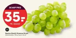 SPAR Gestus Stenfri Grønne Druer, DKK 35 tilbud