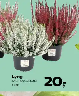 Kvickly Lyng tilbud