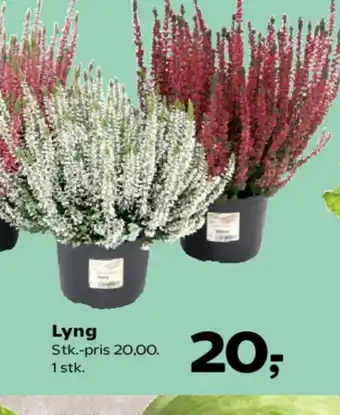 Kvickly Lyng tilbud