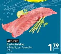 Citti Frisches Welsfilet tilbud