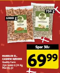 Løvbjerg Mandler el. cashew nødder tilbud