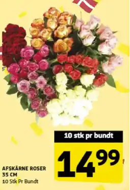 Løvbjerg Afskårne roser tilbud