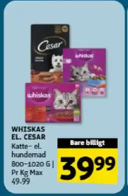 Løvbjerg Whiskas el. Cesar tilbud
