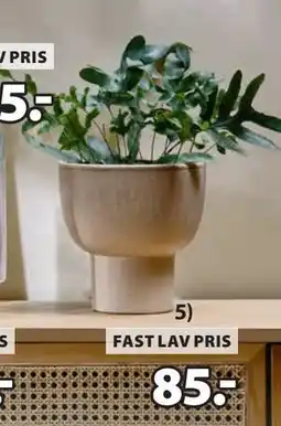 JYSK RONNY blomsterpotte, DKK 85 tilbud