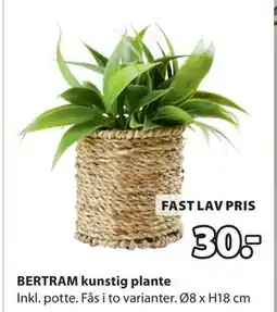 JYSK BERTRAM kunstig plante, DKK 30 tilbud