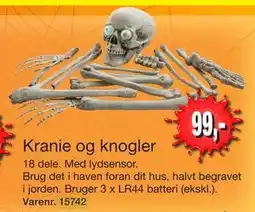 Harald Nyborg Kranie og knogler, DKK 99 tilbud