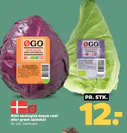 Netto ØGO økologisk dansk rødt eller grønt spidskål tilbud