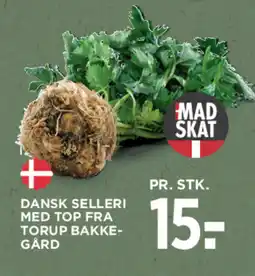 MENY Dansk selleri med top fra torup bakke- gård tilbud
