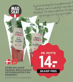 MENY GRØN BALANCE Danske økologiske krydderurter fra rosborg tilbud