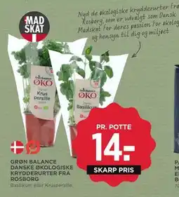 MENY GRØN BALANCE DANSKE ØKOLOGISKE KRYDDERURTER FRA ROSBORG, DKK 14 tilbud
