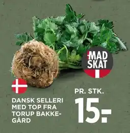 MENY DANSK SELLERI MED TOP FRA TORUP BAKKEGÅRD, DKK 15 tilbud