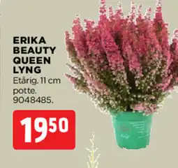 jem & fix ERIKA BEAUTY QUEEN LYNG tilbud