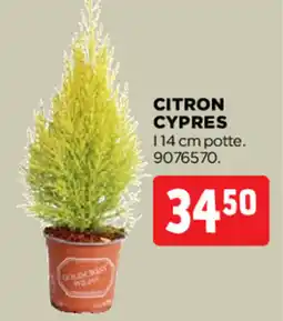 jem & fix CITRON CYPRES tilbud