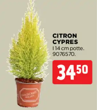 jem & fix CITRON CYPRES tilbud