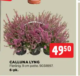 jem & fix CALLUNA LYNG tilbud