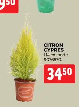 jem & fix CITRON CYPRES, DKK 34.5 tilbud