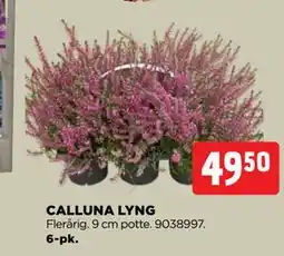 jem & fix CALLUNA LYNG, DKK 49.5 tilbud