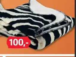 BigDollar Plaid Zoe Zebra tilbud