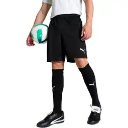 Sport 24 PUMA teamGOAL Træningsshorts Herre tilbud