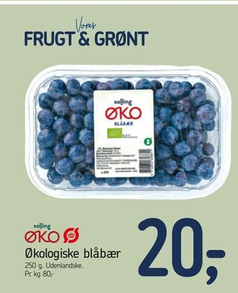 Føtex Økologiske blåbær tilbud