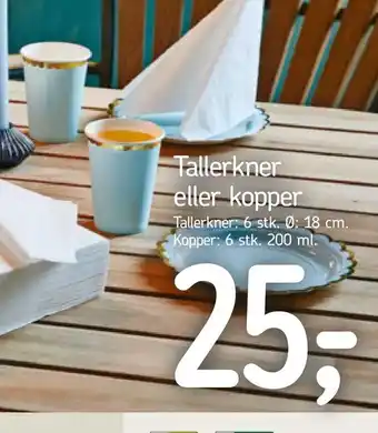 Tallerkner eller kopper