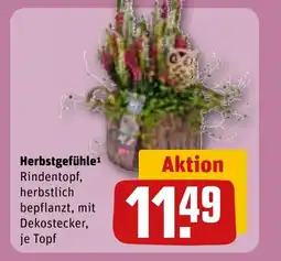 REWE DE Herbstgefühle tilbud