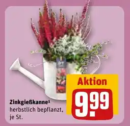 REWE DE Zinkgieẞkanne tilbud