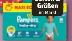 REWE DE PAMPERS Baby dry maxi pack windeln junior tilbud
