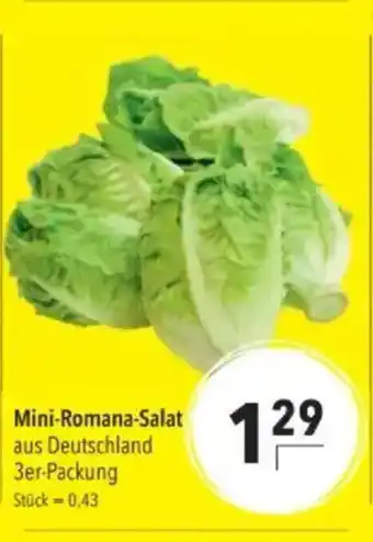 Citti Mini-Romana-Salat tilbud