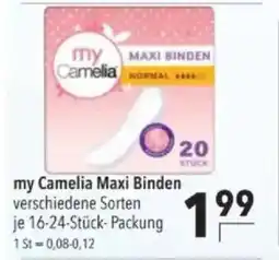 Citti My Camelia Maxi Binden tilbud