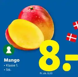 Lidl Mango tilbud