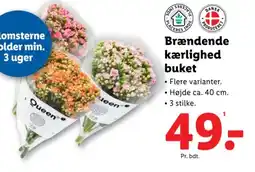 Lidl Brændende kærlighed buket tilbud