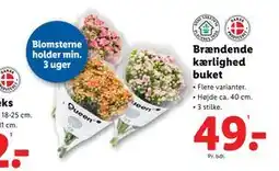 Lidl Brændende kærlighed buket, DKK 49 tilbud