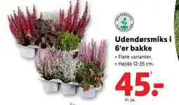 Lidl Udendørsmiks i 6‘er bakke, DKK 45 tilbud