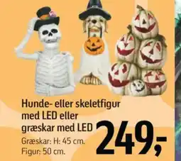 Føtex Hunde- eller skeletfigur med LED eller græskar med LED tilbud