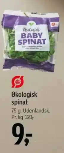 Føtex Økologisk spinat tilbud