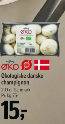Føtex Økologiske danske champignon tilbud