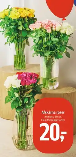 Føtex Afskårne roser tilbud