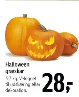 Føtex Halloween græskar tilbud