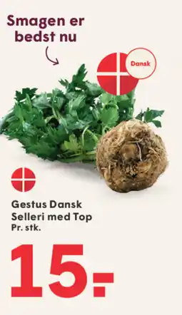 SPAR Gestus Dansk Selleri med Top tilbud