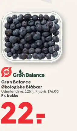 SPAR Grøn Balance Økologiske Blåbær tilbud
