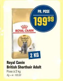 Otto Duborg Royal Canin British Shorthair Adult tilbud