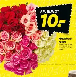 Bilka Afskårne roser, DKK 10 tilbud